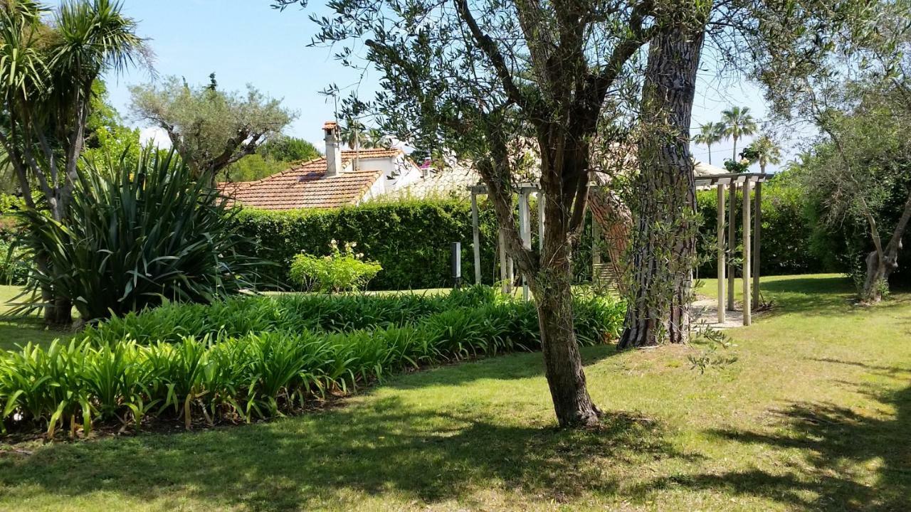 Green Cap D'Antibes Zewnętrze zdjęcie
